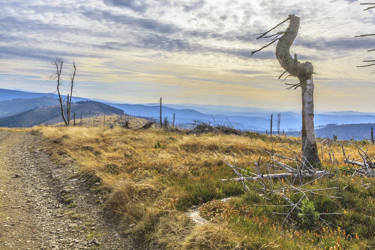 Jakie atrakcje w Szczyrku można zwiedzić rowerem elektrycznym?