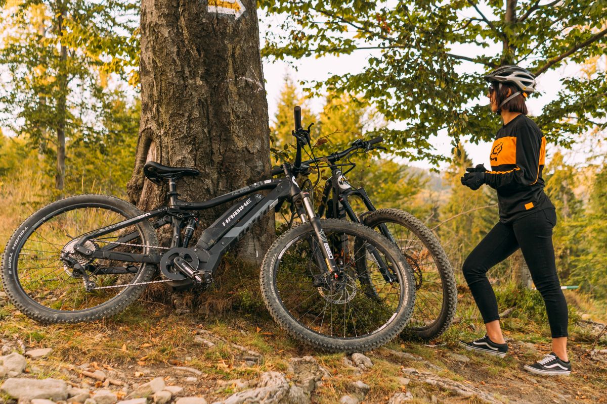 z jakich części składa się rower elektryczny